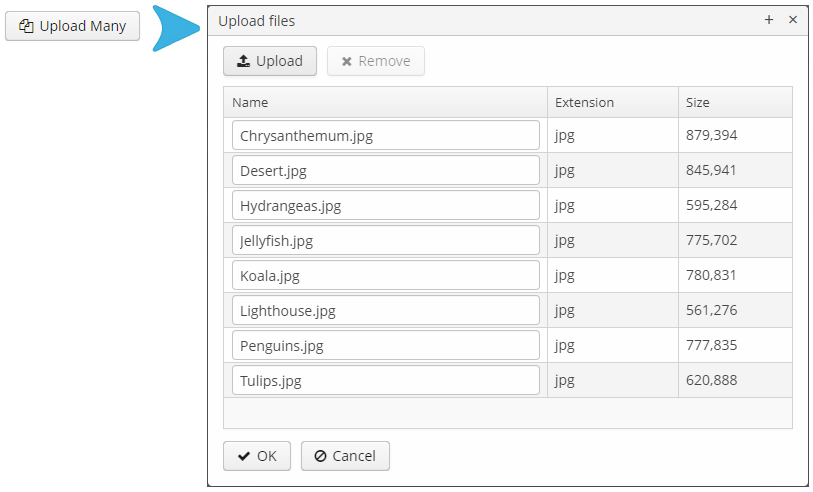 gui multipleUpload